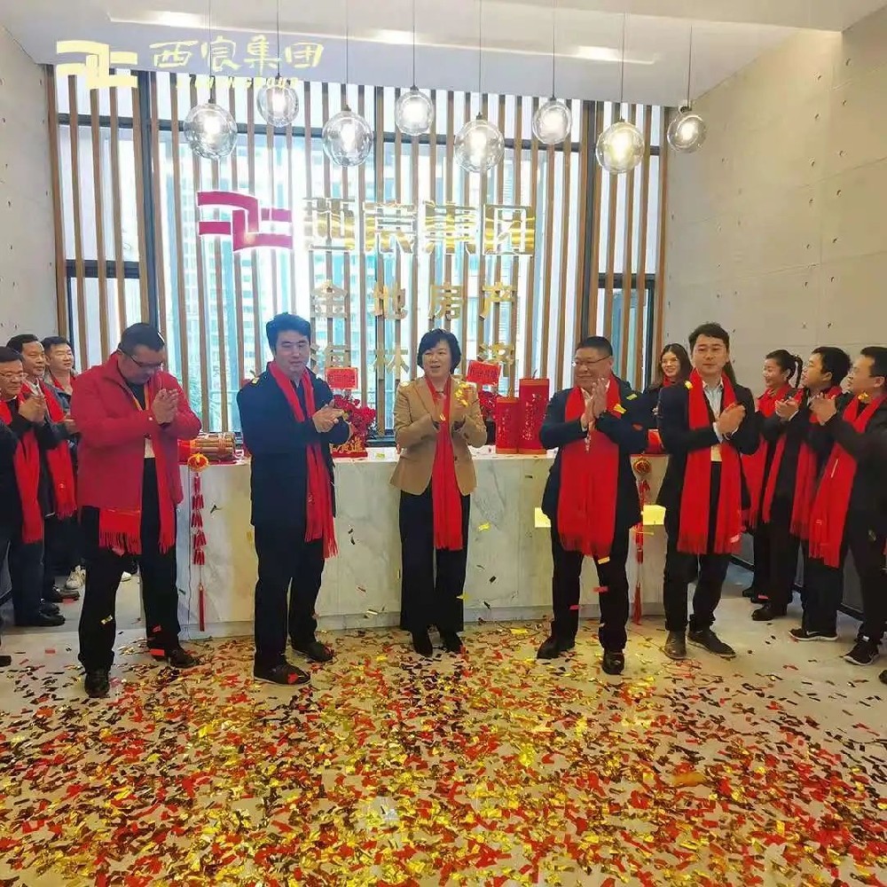 西宸集團品牌升級 構筑品質人居