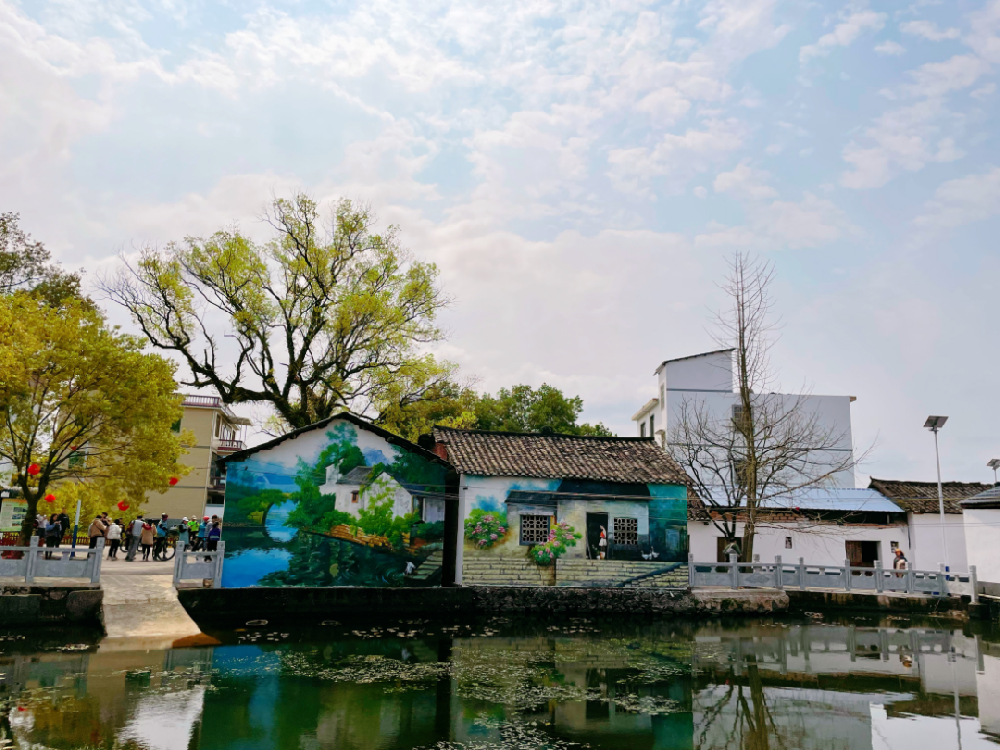 賞大美田園春色 悟鄉村振興發展